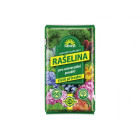 Rašelina SUBSTRAT 60l