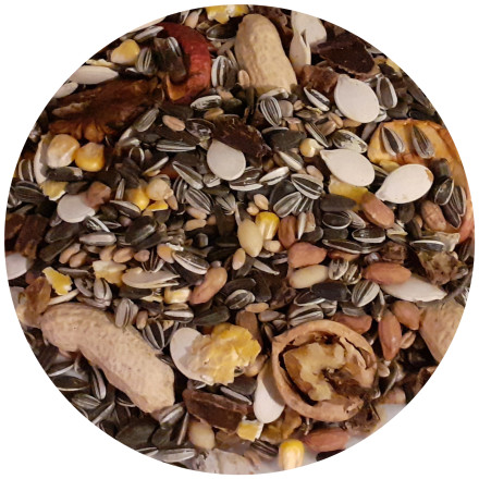 Směs pro veverky Grainshop 1 kg Směs pro veverky Grainshop 1 kg