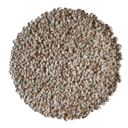 Kardi 1 kg Kardi 1 kg
