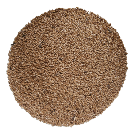 Lesknice 1 kg Lesknice 1 kg