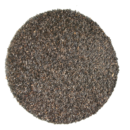 Niger 1 kg Niger 1 kg