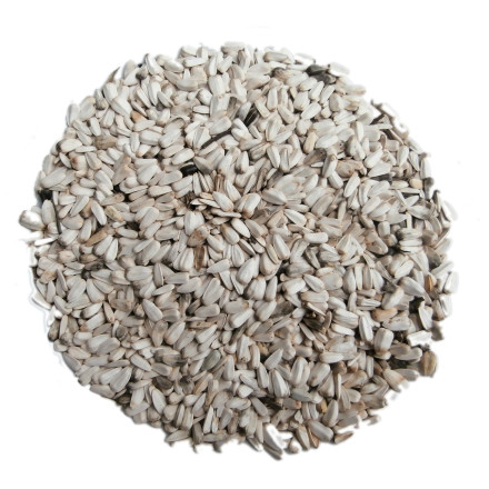 Slunečnice bílá velká 5 kg Slunečnice bílá velká 5 kg