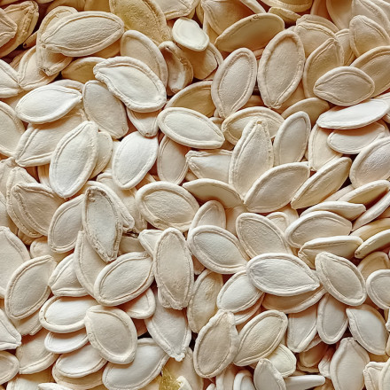 Dýňové semínko neloupané 1kg Dýňové semínko neloupané 1kg
