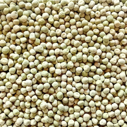 Hrách zelený 1 kg Hrách zelený 1 kg