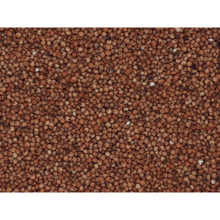 Čirok červený 1 kg
