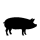 Krmivo pro prasata (18)