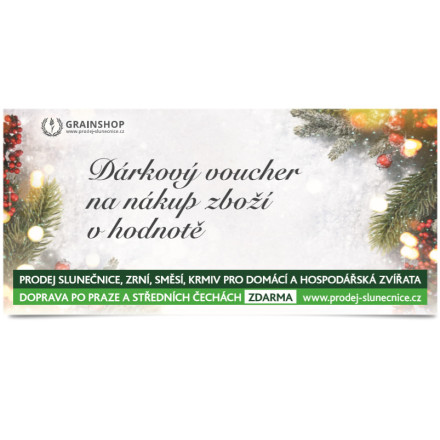Vánoční voucher Vánoční voucher