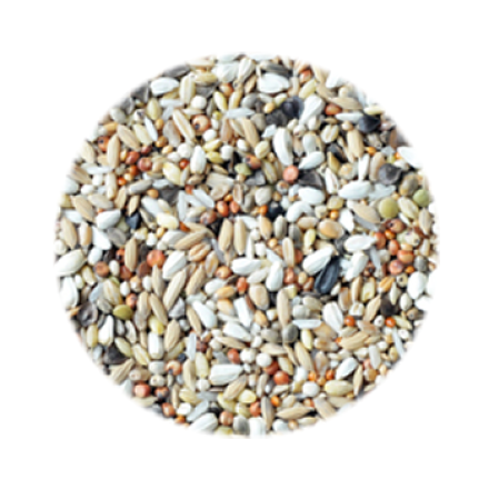 Směs pro holuby dietní speciál (DS) 25 kg Směs pro holuby dietní speciál (DS) 25 kg