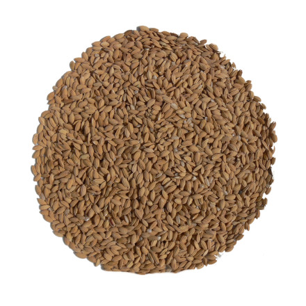 Paddy rýže 1 kg