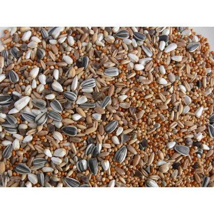 Střední papoušek Standard Grainshop 5 kg