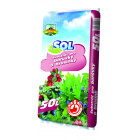 SOL Substrát pro borůvky a brusinky 50l