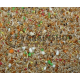Andulka Standard Grainshop 5 kg Andulka Standard Grainshop 5 kg