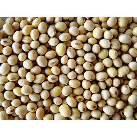 Soja 1 kg