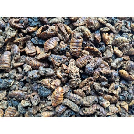 Larvy bource morušového 500ml Larvy bource morušového 500ml