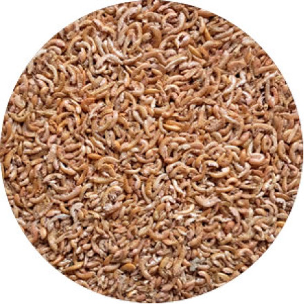 Blešivec gammarus 500ml