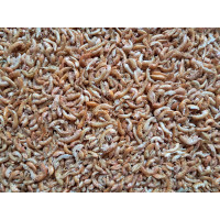 Blešivec gammarus 500ml