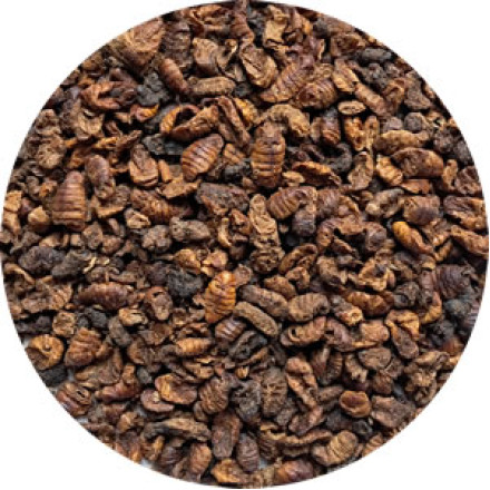 Larvy bource morušového 500ml Larvy bource morušového 500ml