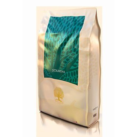 Essential Stamina 12,5kg