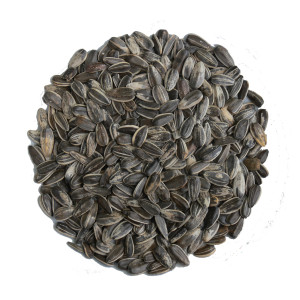 Slunečnice žíhaná střední 1 kg