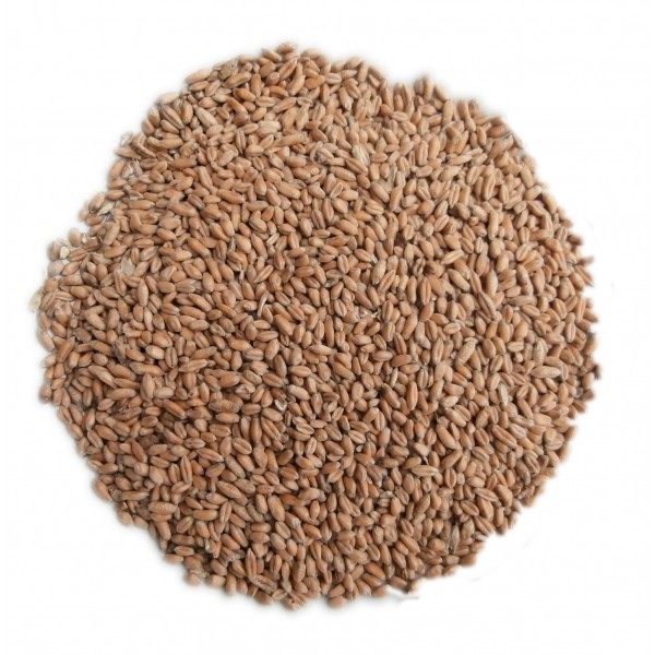 Pšenice 25 kg (čištěná)